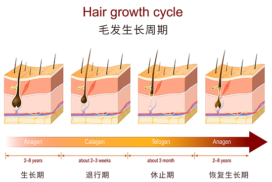 图源视觉中国，制作于canva