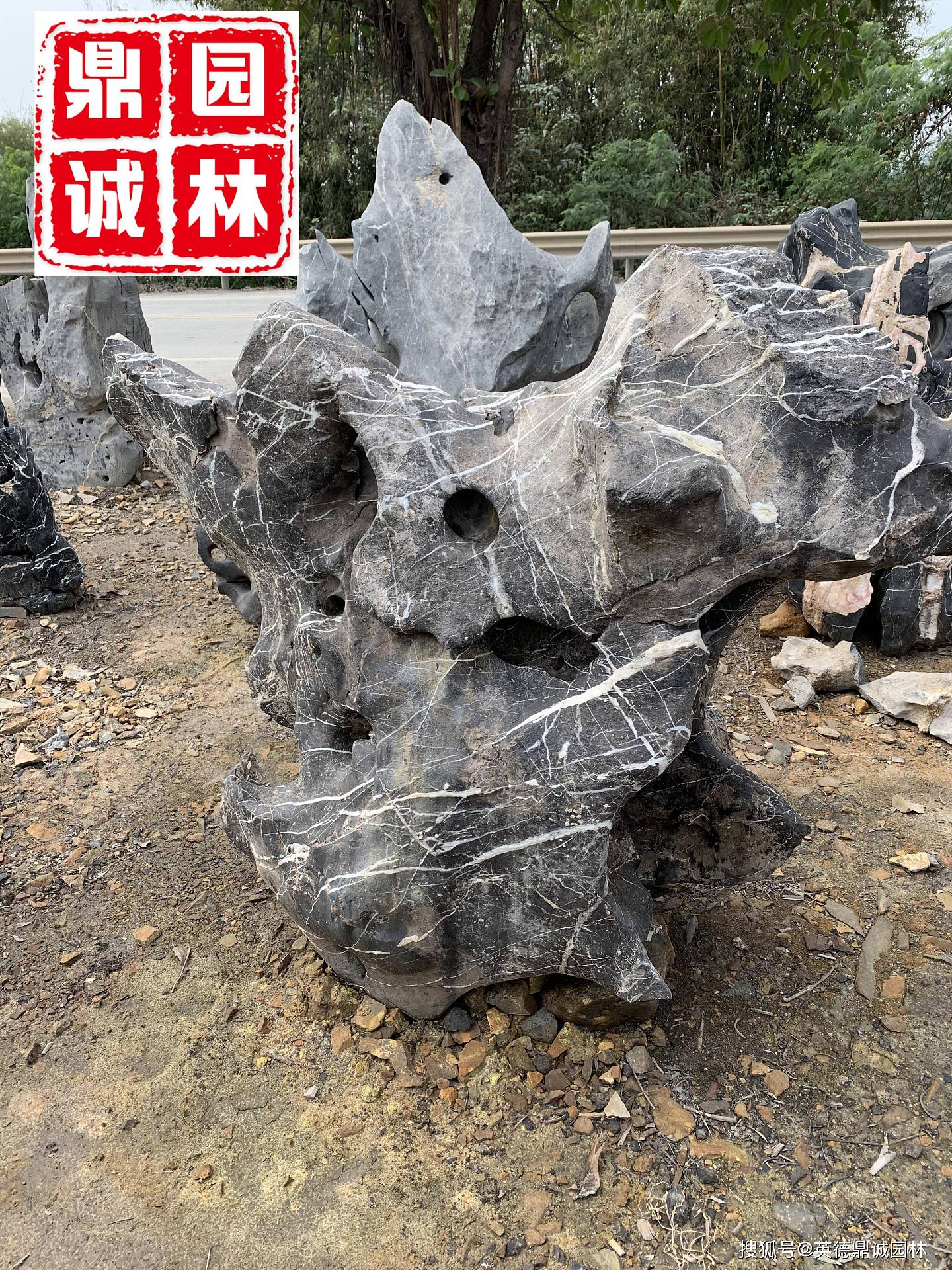 天然太湖石独石是一种奇特的窟窿石 - 5