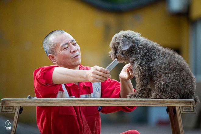 上海一 52 岁僧人每年花 198 万租基地，救助 9000 流浪动物 - 1