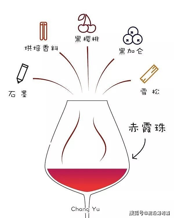 葡萄酒如何闻香?葡萄酒闻香以香气的表现形式为线索即香气的印象 - 4