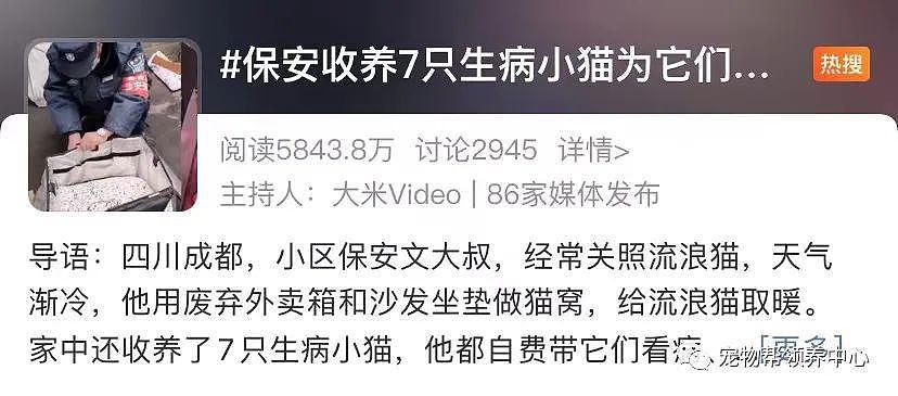 保安收养 7 只生病流浪猫上了热搜，和打死流浪狗的保安一对比，差距太大了 . - 3