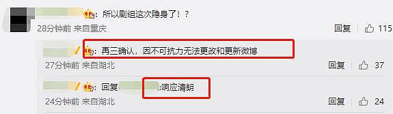 刘诗诗“自降咖位”演的新剧，饭圈先集体罢工了？ - 29