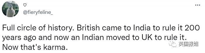 英国首位印度裔首相！老婆还是亿万富翁之女，印度网友：天道好轮回！ - 15