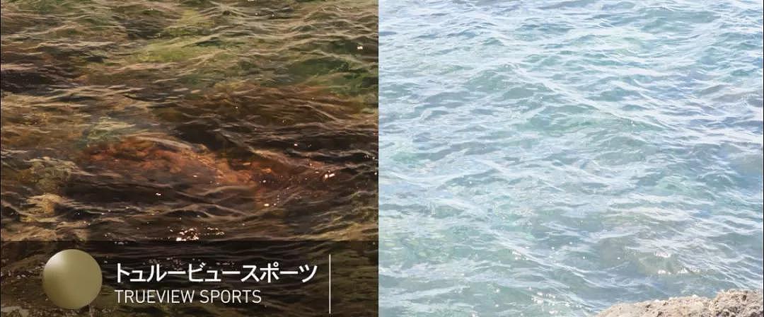 【渔具资讯】【DAIWA】偏光眼镜 TLX 022 - 9