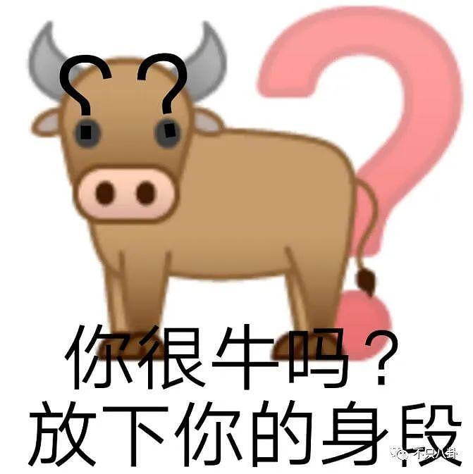 炸裂离谱到难以形容！这些事竟然是真实发生的吗？ - 68