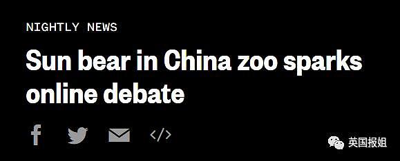 中国动物园的一头熊一夜之间火爆全球！国外媒体网友陷入疯狂：“它到底是熊还是人？！” - 9