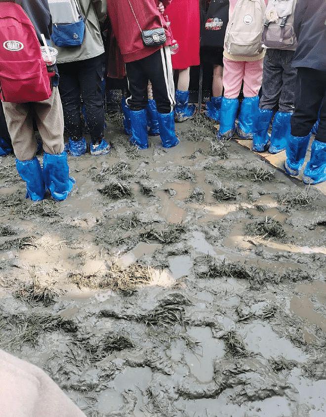华晨宇演唱会被指割韭菜，歌迷全程站立在泥地 - 3