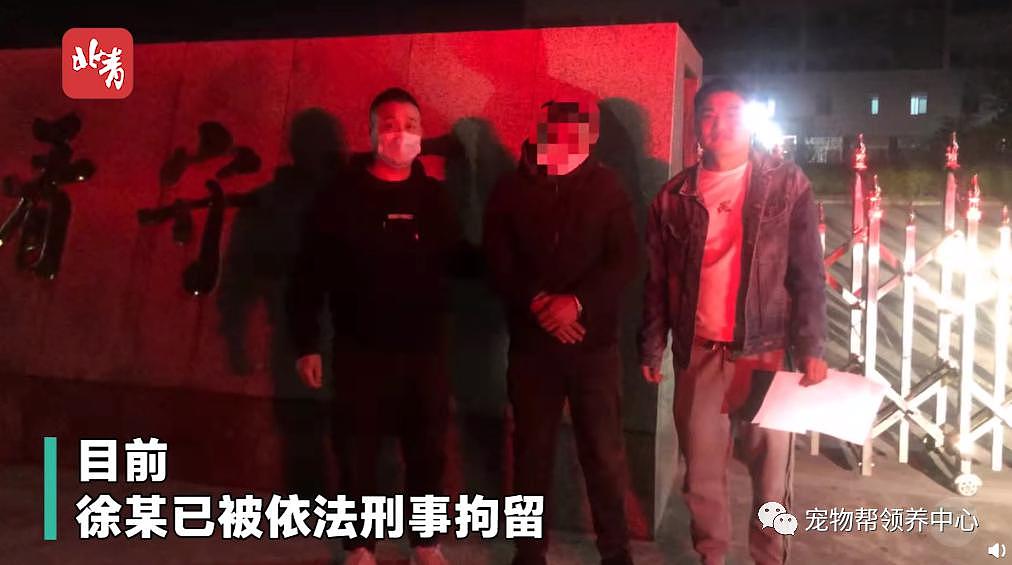 狗狗中毒后跑到派出所门口躲避，却仍没逃过偷狗贼，最后警察为它讨回公道 . - 17