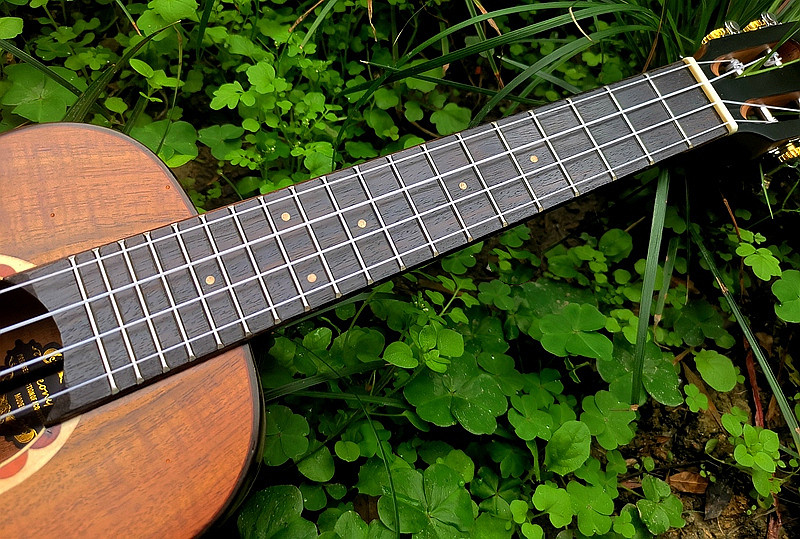 成都金典吉他琴行Leony工厂联合UK龙头企业推出新品尤克里里 - 4