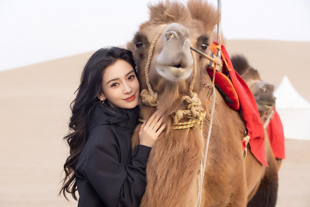 杨颖现身沙漠参加活动 与骆驼贴贴笑容甜美 - 1