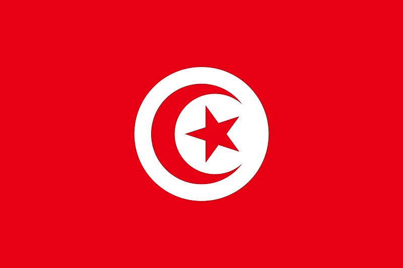世界杯32强巡礼之突尼斯：北非劲旅渴望突破，目标小组不陪跑 - 3