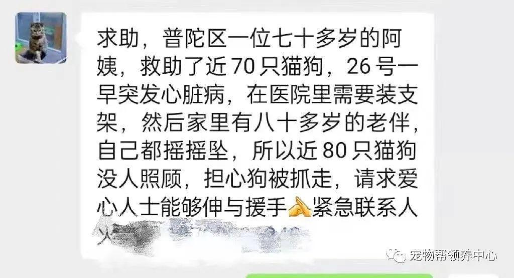 紧急扩散！上海 70 多岁阿姨突发心脏病，她救助的近 80 只猫狗急需帮助 . - 1