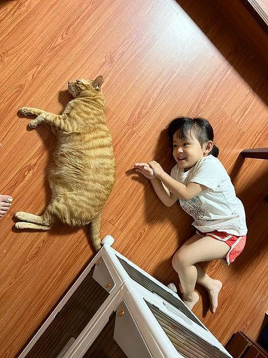 小女孩学胖橘的姿势躺在地上，网友纷纷笑说“输在肚子上了！” - 2