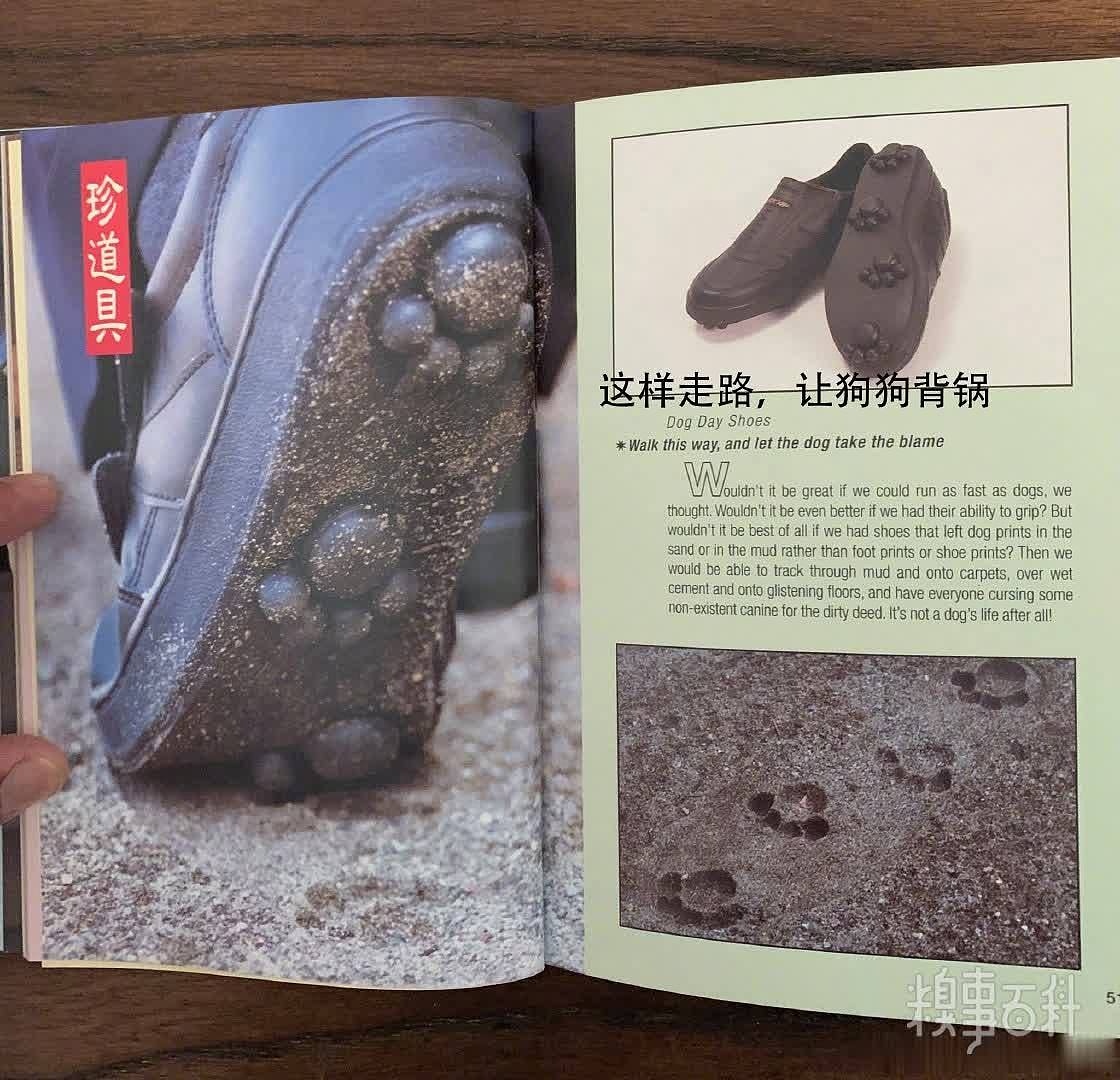 狗子：我做错了什么要