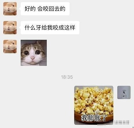 次元破了，这两人要结婚了？ - 116