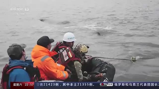 全程回顾！中国首次成功救助大型抹香鲸，有“鲸”无险！ - 6