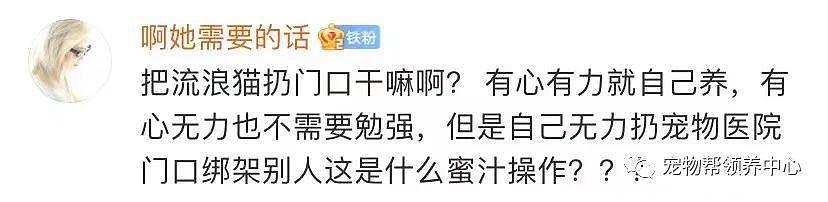 猫咪骨折后被遗弃在宠物店门口，店员将猫咪收养：善良的人就该被道德绑架？ - 17