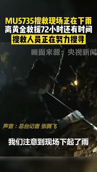 搜救犬加入坠机救援！它们也在为奇迹出现而努力！ - 9