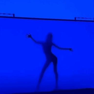Lisa 晒性感舞蹈视频疑为疯马秀预热，身材曲线一览无余 - 4
