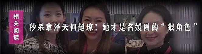“王思聪前女友”拿地盖楼，曾年入 30 亿，被封杀却要转型“女企业家”？ - 27