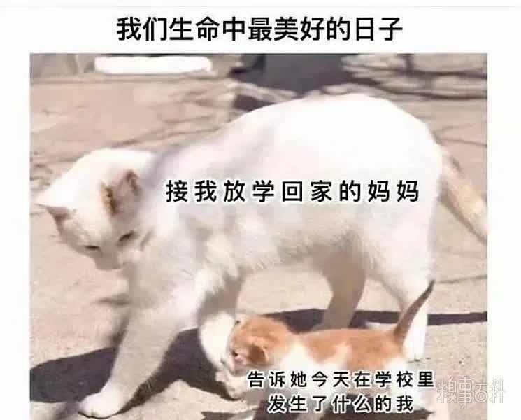 泪奔，真的好爱妈妈，