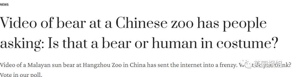 中国动物园的一头熊一夜之间火爆全球！国外媒体网友陷入疯狂：“它到底是熊还是人？！” - 11