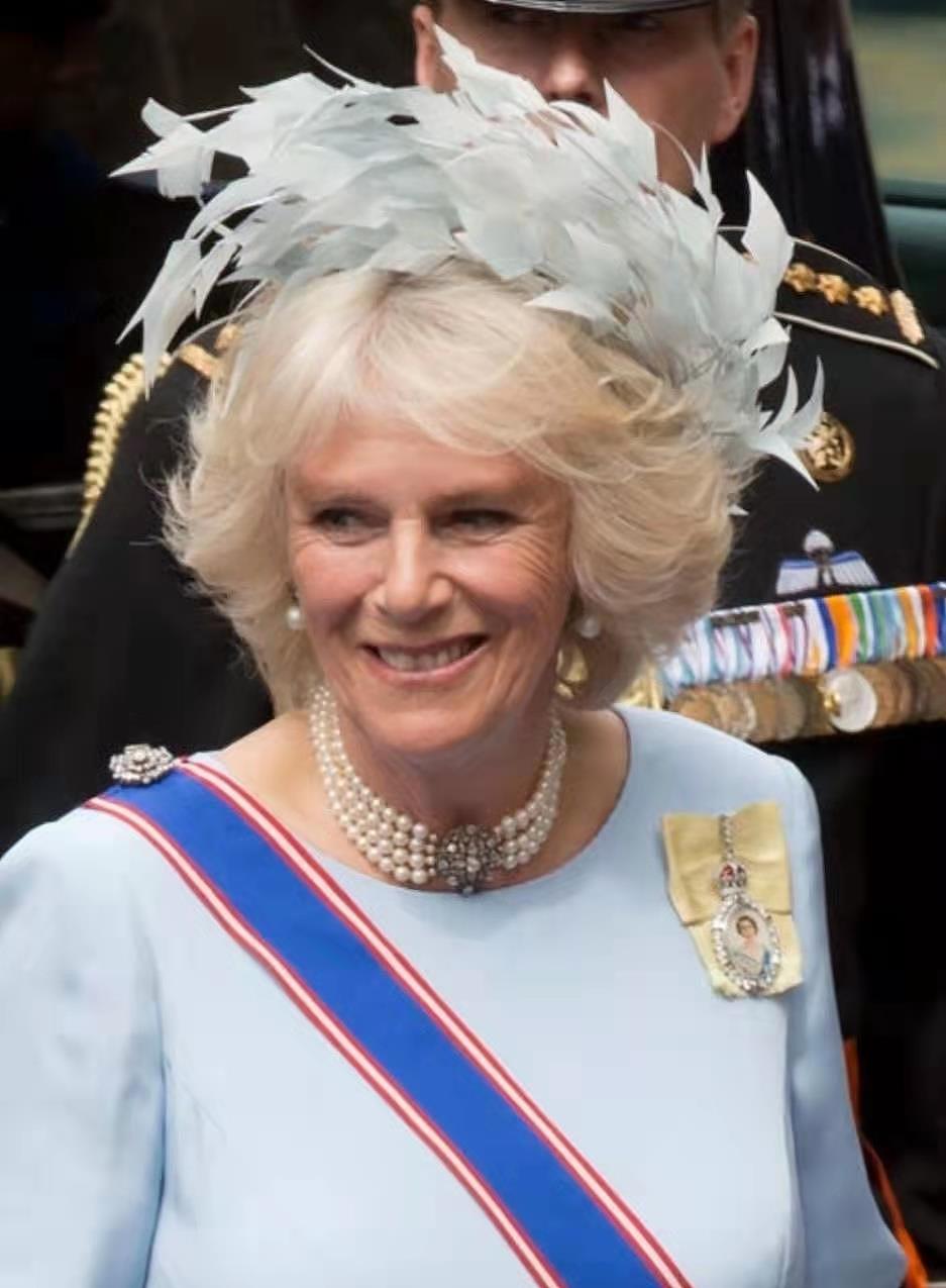 英女王用专门首饰固定缎带，而卡米拉则用玛丽的胸针，比戴妃还壕 - 8
