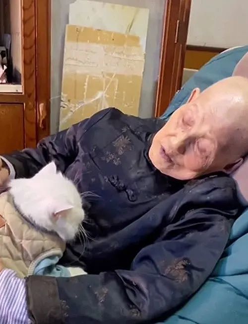 91岁奶奶躺在椅子上，抱着8岁的猫咪：我不在后，要记得听话 - 2