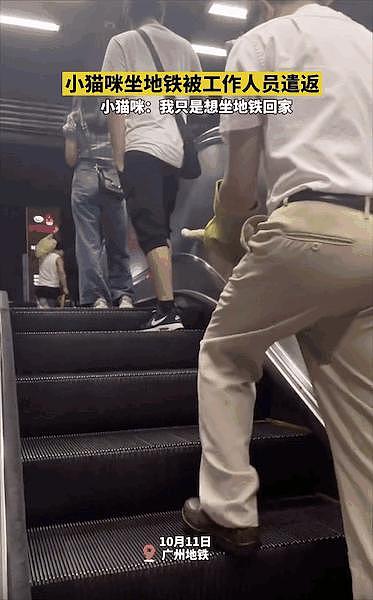 猫咪蹲在黄线外乖乖等地铁，却被工作人员一把抱走，猫猫：一米二以下也用买票？ - 14