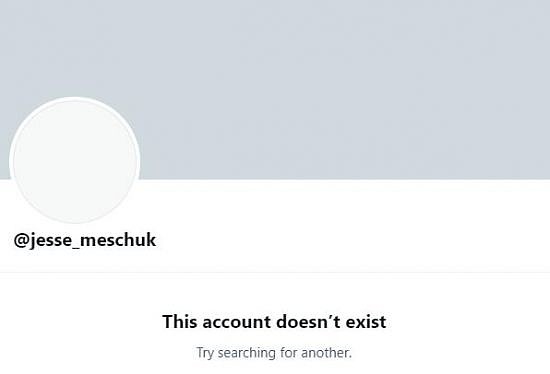 暴雪HR主管Jesse Meschuk离职 并自己删掉推特账号 - 2