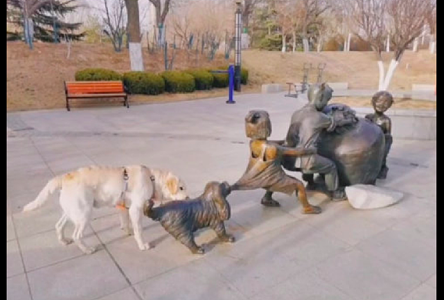 公园的雕塑在推坛子，狗狗误以为真也跑到后面帮忙拉，傻不傻呀！ - 2