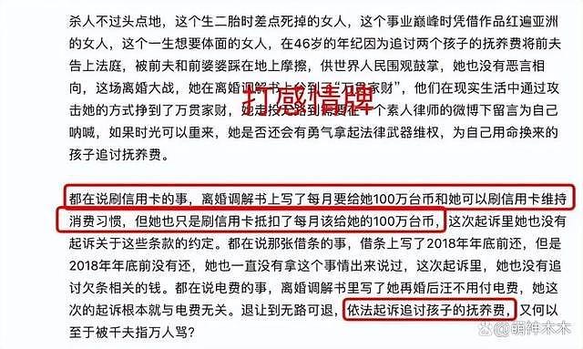 张兰持续反击大 S！寻求台湾律师协助，邓高静被同行抨击到删文 - 14