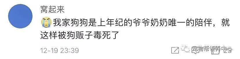 狗狗中毒后跑到派出所门口躲避，却仍没逃过偷狗贼，最后警察为它讨回公道 . - 12