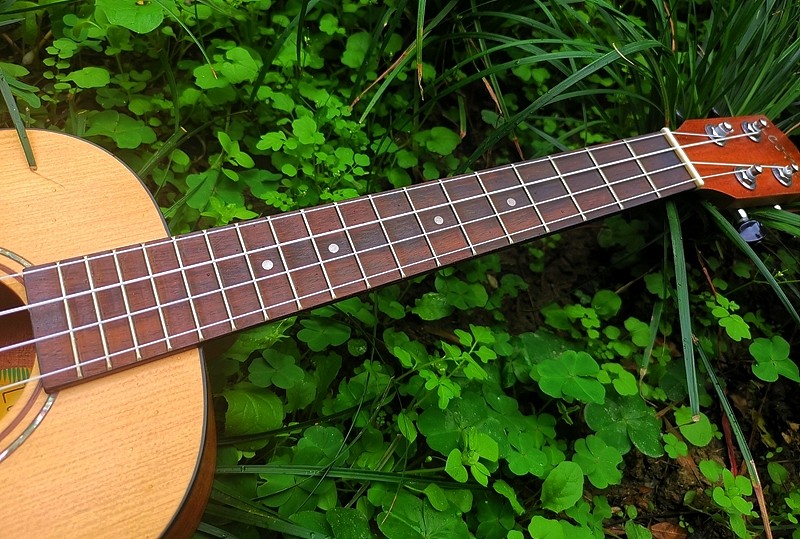 成都金典吉他琴行Leony工厂联合UK龙头企业推出新品尤克里里 - 7
