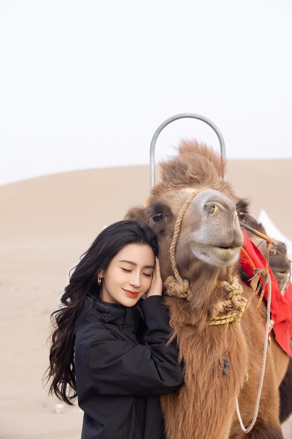 杨颖现身沙漠参加活动 与骆驼贴贴笑容甜美 - 4