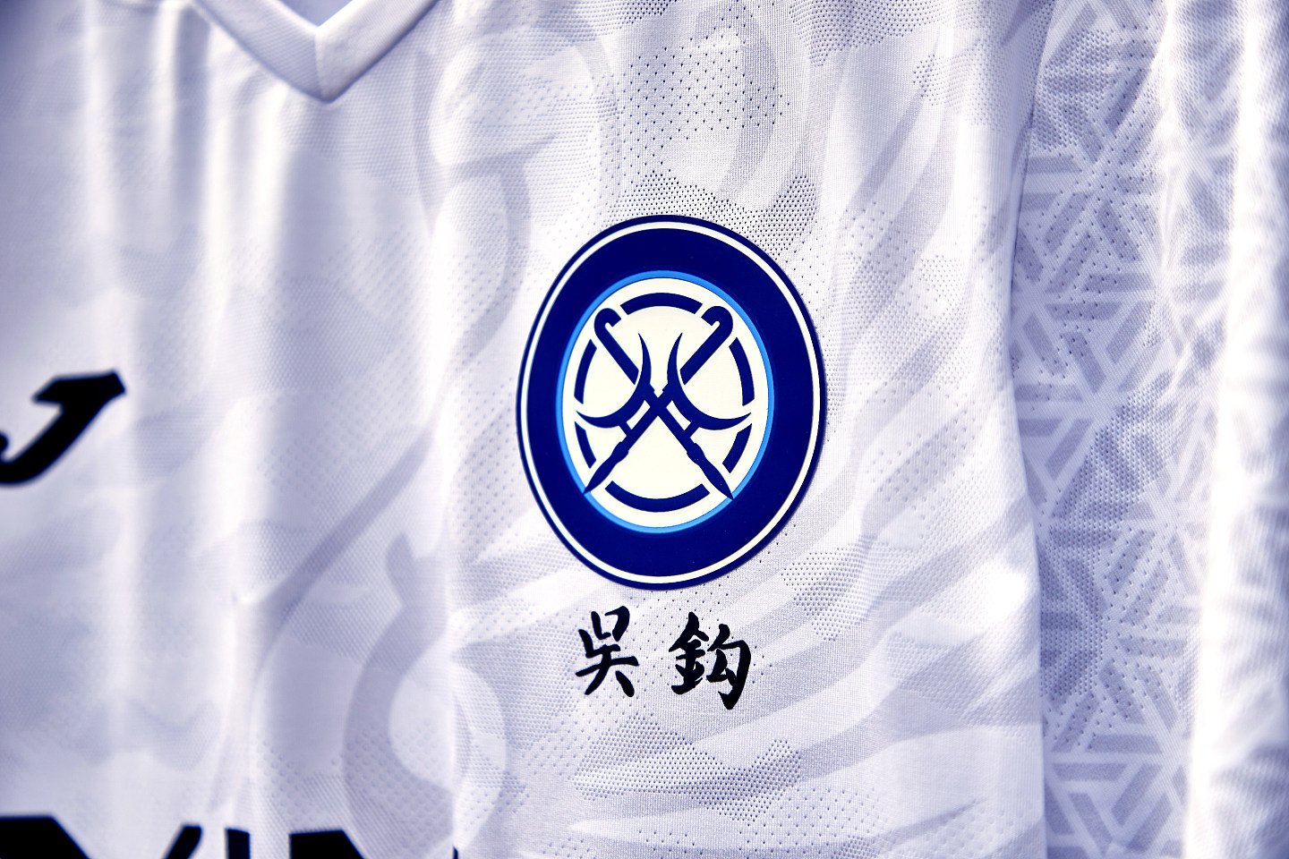 中国足坛的队徽队名，好像一个巨大的动物园 - 17