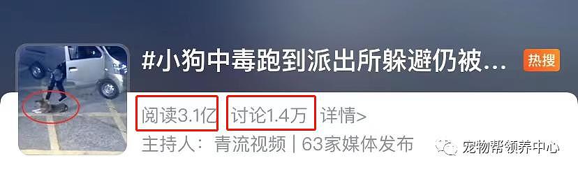 狗狗中毒后跑到派出所门口躲避，却仍没逃过偷狗贼，最后警察为它讨回公道 . - 1