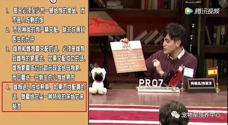 在这个国家，宠物是合法的家庭成员，夫妻离婚要考虑毛孩子的感受 . - 9