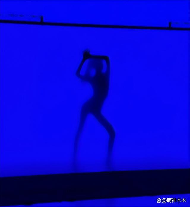 Lisa 晒性感舞蹈视频疑为疯马秀预热，身材曲线一览无余 - 3
