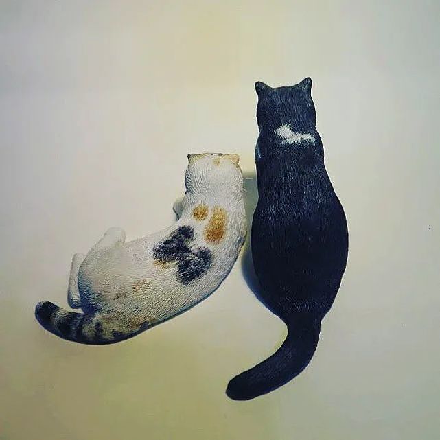 猫趣 | 为了帮铲屎官留下对猫咪的爱与回忆，她成为了一名猫咪雕刻艺术家 - 14