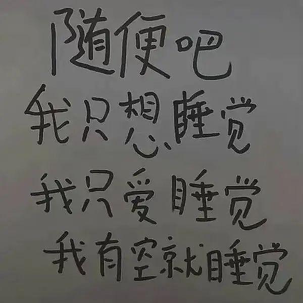 “鸡汤给你喝，摆烂我最行” - 4