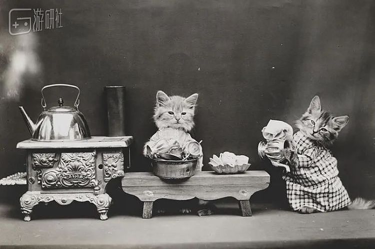 100年前就有的猫猫COS照，背后是悠久的动物虐待史 - 6