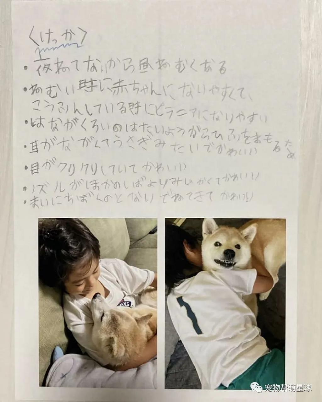 男孩把狗狗写进家庭作业，看到最后一句话 ... 感动哭了！ - 5