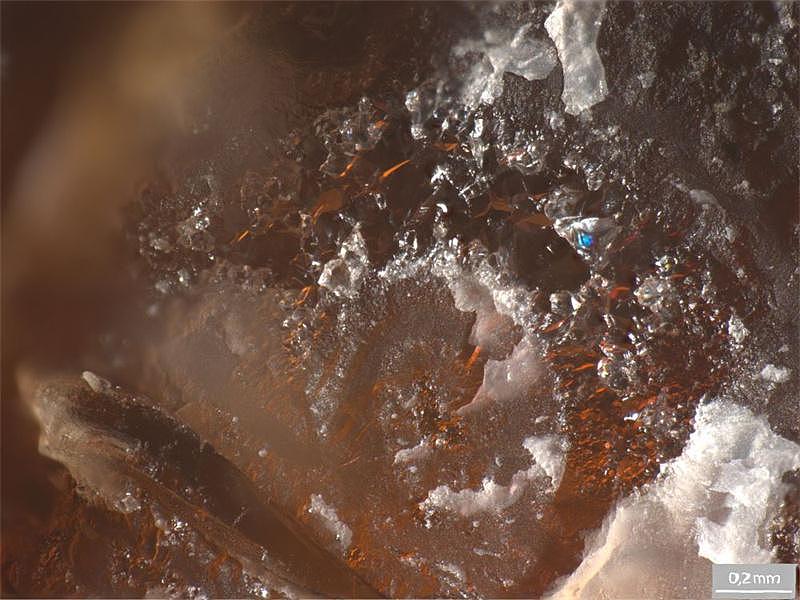 罕见！琥珀中竟藏水晶玛瑙，距今约一亿年 - 2