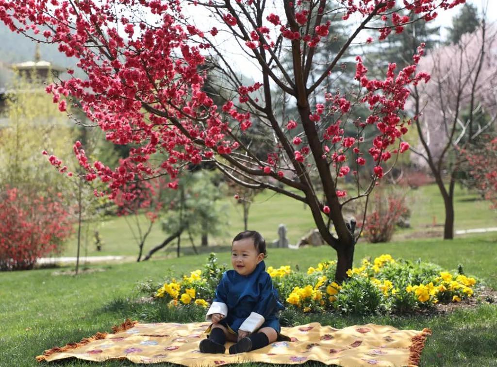 亚洲颜值天花板的不丹王室，一生爱一人的故事是真的吗 - 100