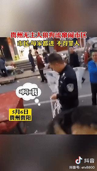 市民举报说楼道里有恶犬扰民，民警赶到后发现恶犬有点萌，反手就给它找了个家 . - 18