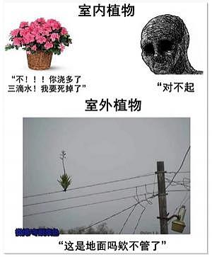 跟风买的网红神器，还没收货我已经后悔了 - 3