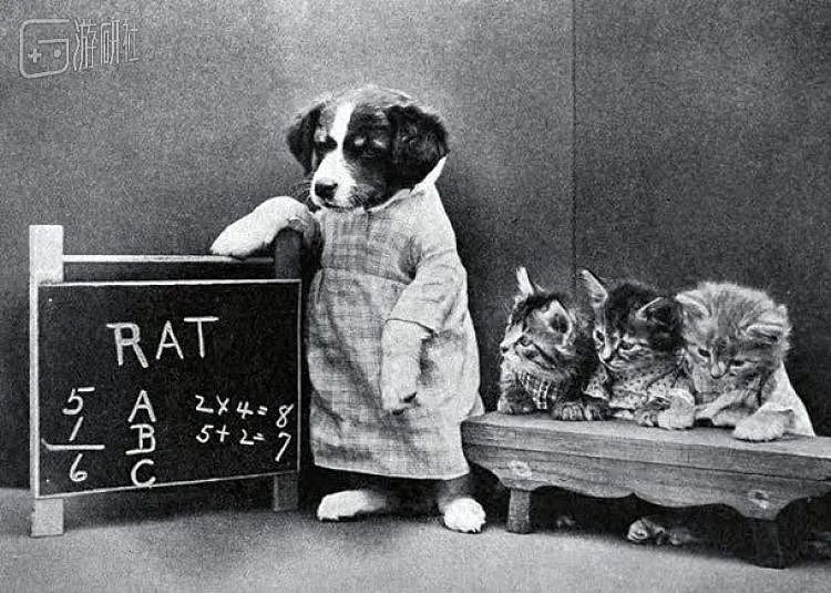 100年前就有的猫猫COS照，背后是悠久的动物虐待史 - 5
