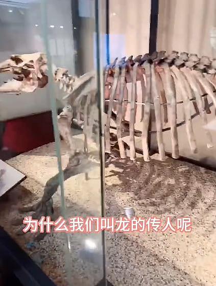 张兰带孙子孙女参观恐龙博物馆 教育孩子要做龙的传人 - 5