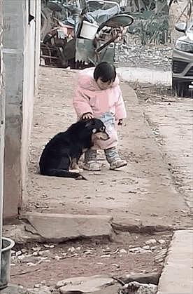 狗狗被鞭炮吓到躲墙角，小女孩发现后，帮它捂住了耳朵… - 10